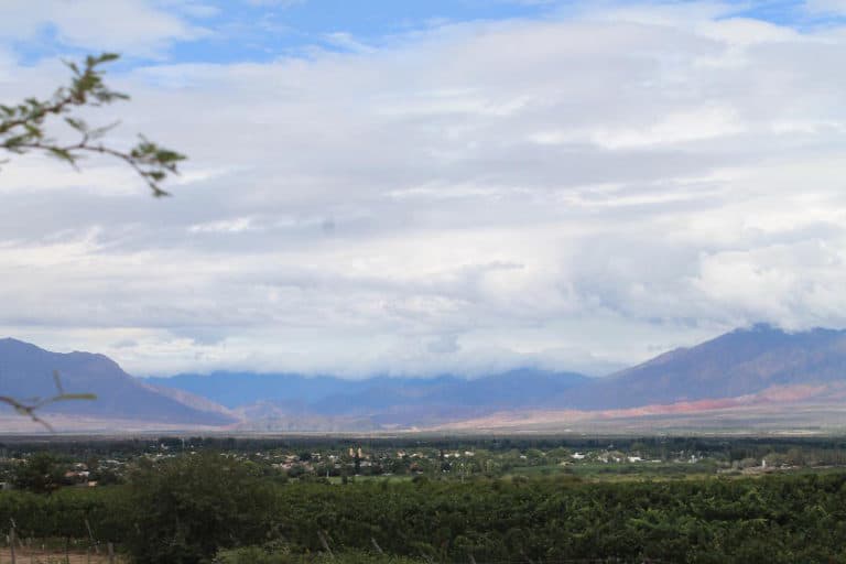 The Best Wineries in Cafayate + 9 More Great Things to Do