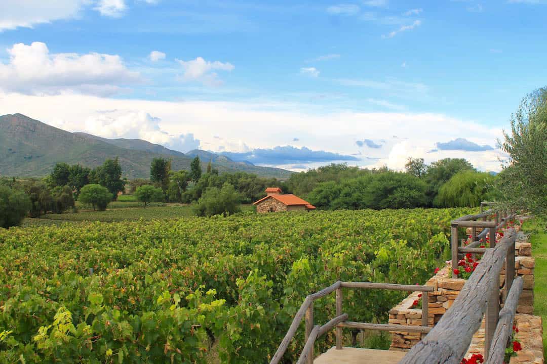 Overlooking the vineyards of Aranjuez