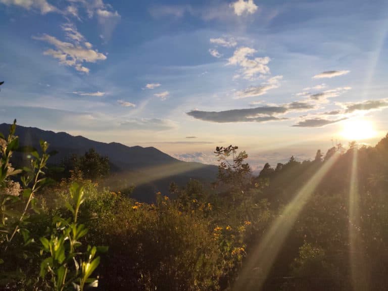 The Ultimate Guide to San Jose del Pacifico: Oaxaca’s Mountain Mushroom Town
