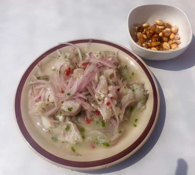 A plate of delicious Peruvian ceviche should be on any one day trip in Lima itinerary. 