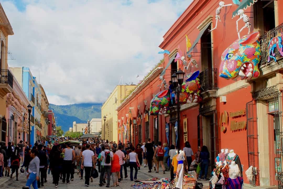 Oaxaca Day Of The Dead 2023 The Ultimate Guide