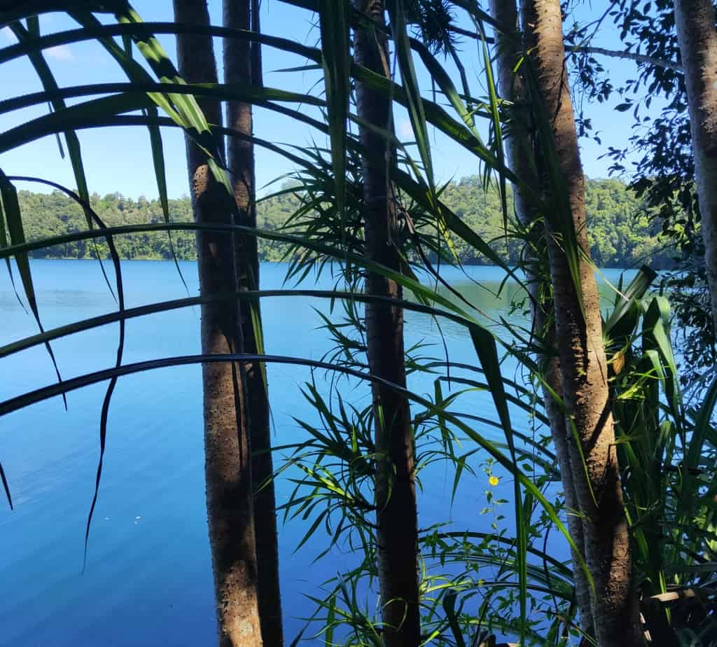 A glimpse of the lake through the foilage on our walk around the circuit trail at Lake Eacham in Crater Lakes National Park, one of the best national parks in Queensland. 