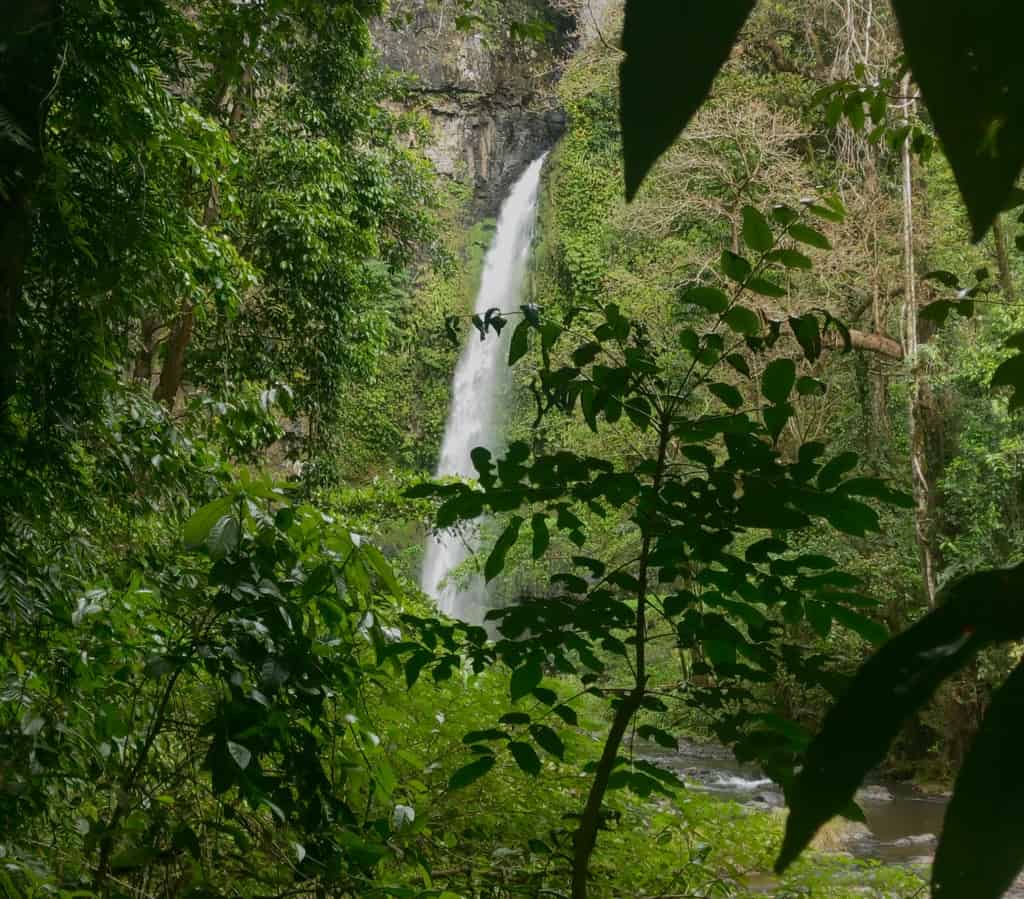 What to do in Atherton? Visit the Nandroya Falls, a stunning waterfall set against the lush green rainforest in Atherton Tablelands. 