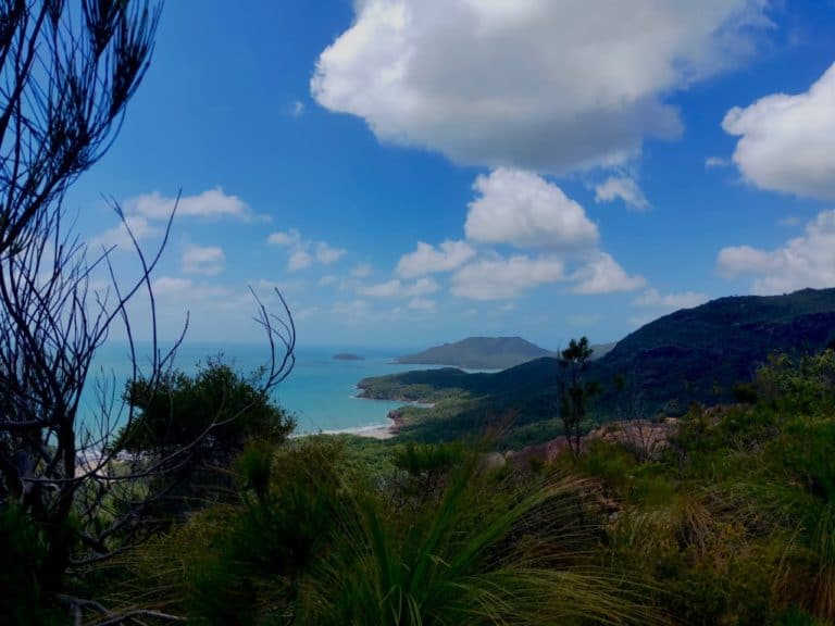 Hiking the Thorsborne Trail Hinchinbrook Island: What You Need to Know Before You Go