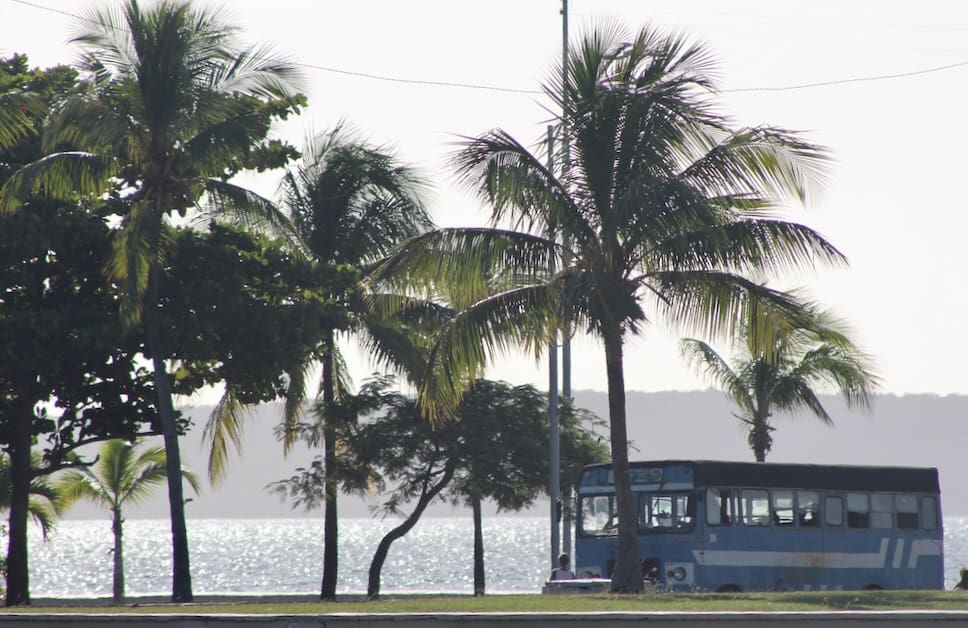 A bus in Cuba driving along a palm tree lined street near the sea 