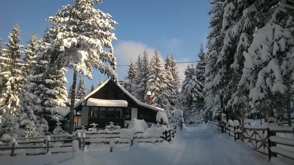 The Best Jahorina Ski Accommodation: from Budget Guesthouses
to Ski-to-Door Luxury