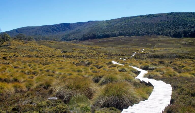 The 9 Best Multi-Day Hikes and Overnight Walks in Tasmania