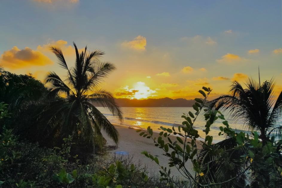 Looking through the trees at Sayulita beach, one of the best beaches of the Riviera Nayarit