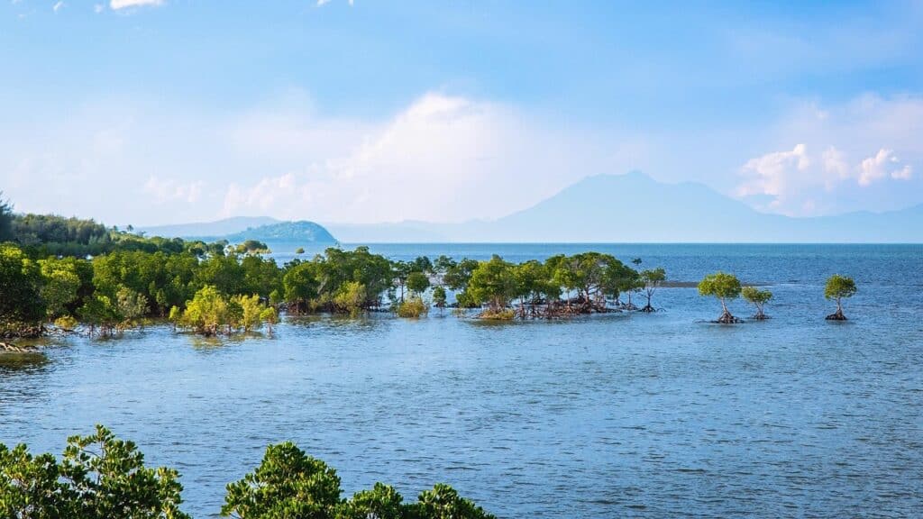 17 Underrated Digital Nomad Destinations You Might Not Have Heard About Yet 9 Rainforest meets the reef 17 Underrated Digital Nomad Destinations You Might Not Have Heard About Yet