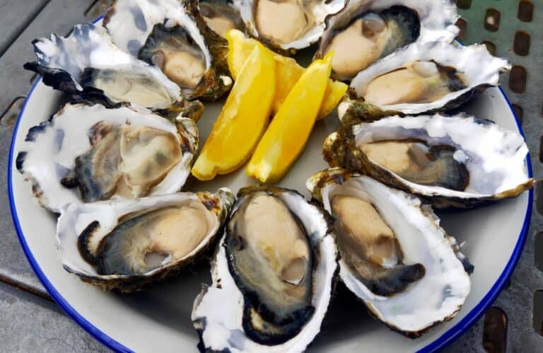 Where to Find the Best Oysters in Tasmania