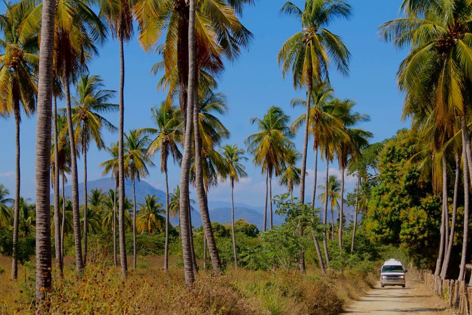 Van driving down a dirt road through the palm trees